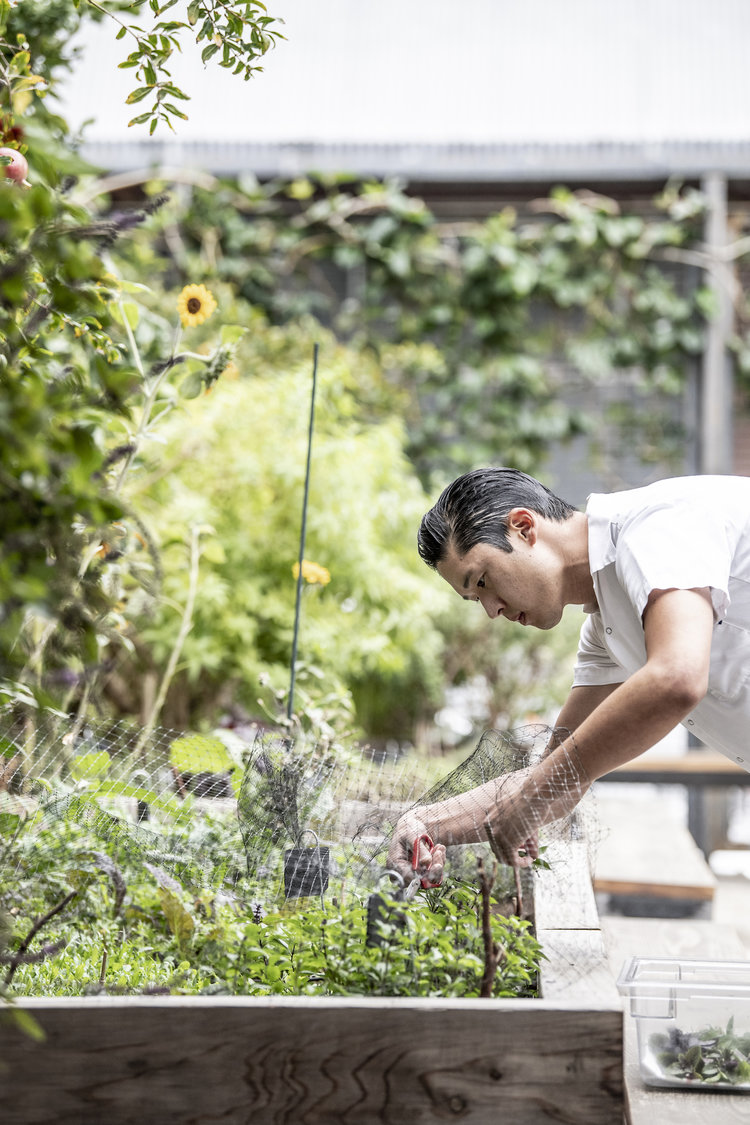 Team member in Manuela's garden